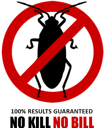 cockroach extermination